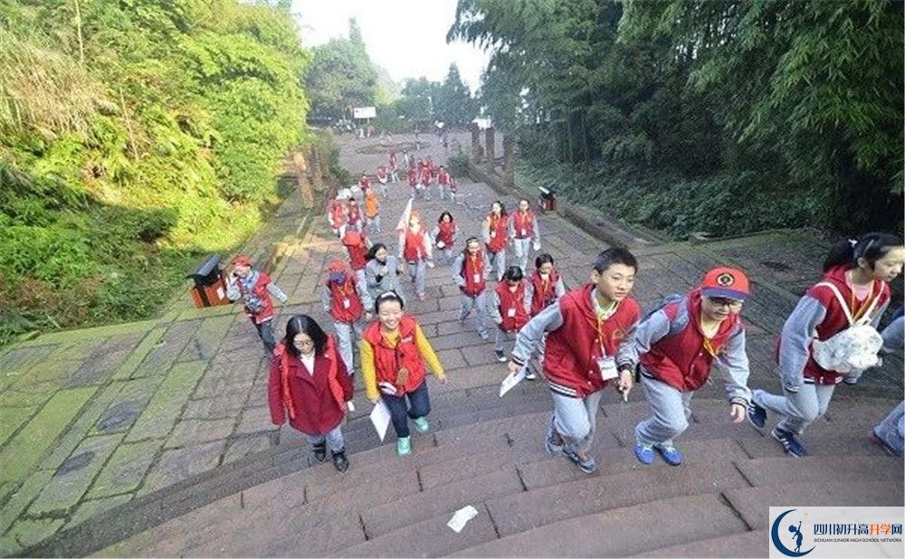 成都市泡桐樹中學(xué)和樹德中學(xué)誰好？