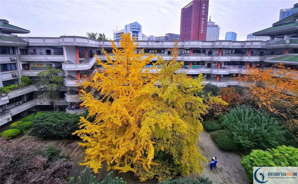 成都市泡桐樹中學2020年全國排名？