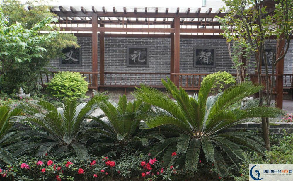 2020成都八中高考重點(diǎn)大學(xué)升學(xué)率是多少？