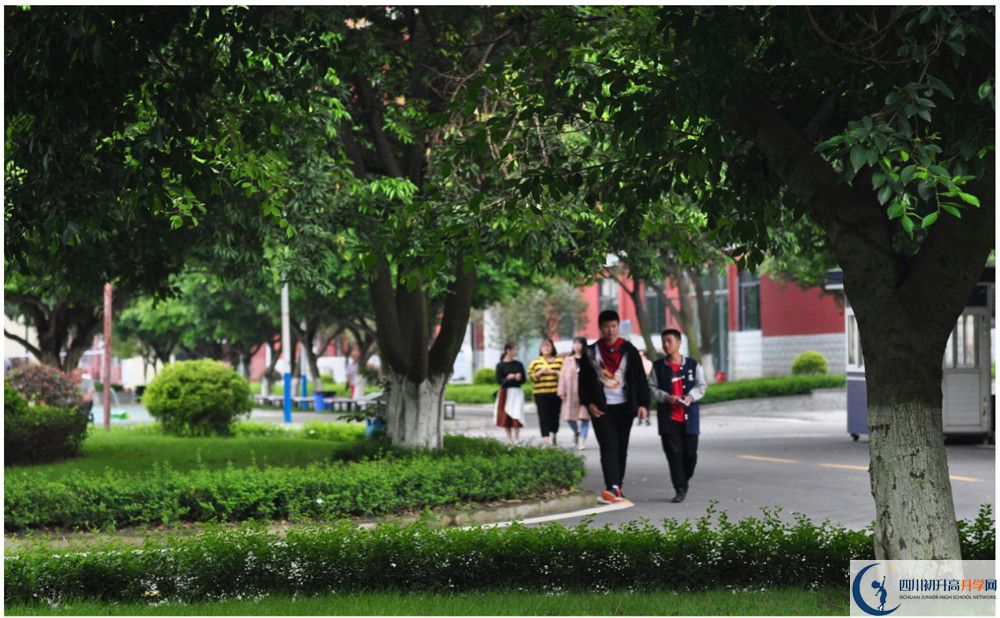 2020成都市太平中學高考重點大學升學率是多少？