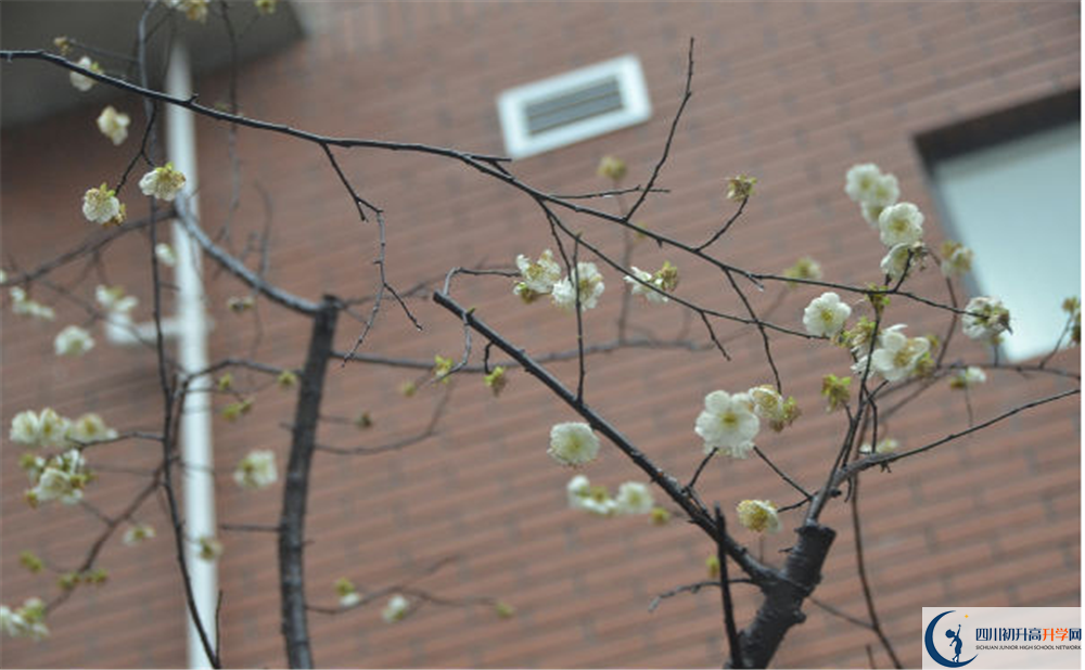 成都市華陽中學(xué)是私立還是公立學(xué)校？
