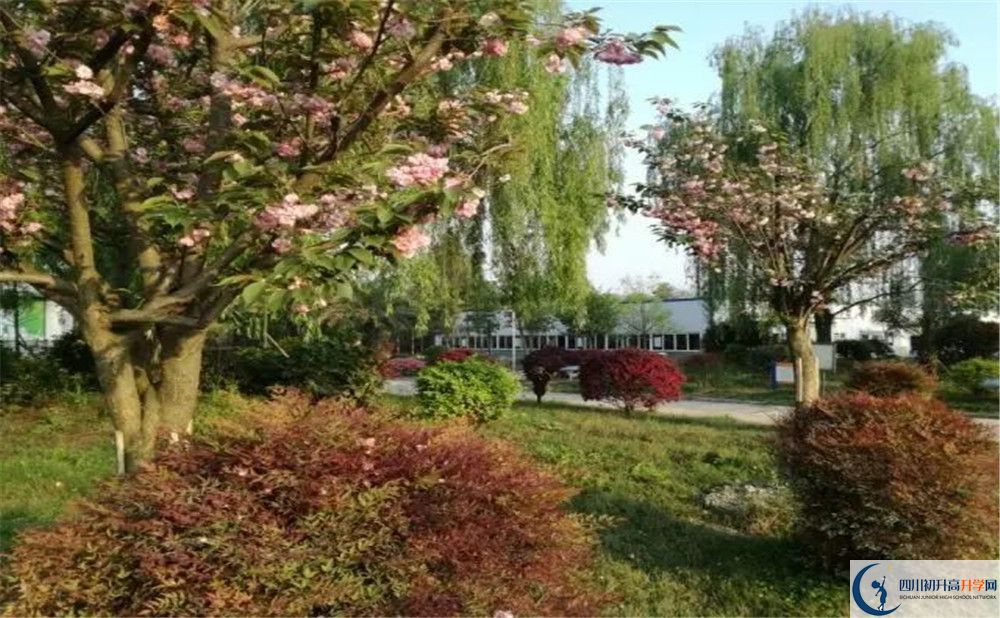 四川師范大學(xué)附屬第三實驗中學(xué)實驗班人數(shù)是多少？