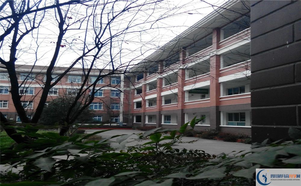 2020崇慶中學中初升高分班考試題難嗎？