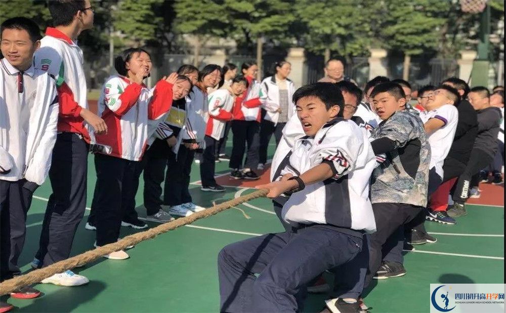 成都樹德中學(xué)面向全國招生嗎？