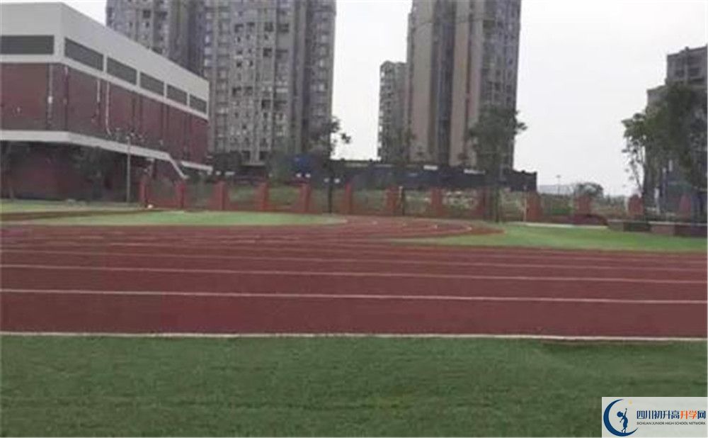 成都教科院附屬學(xué)校高2020屆高三階段檢測試題語文難嗎？