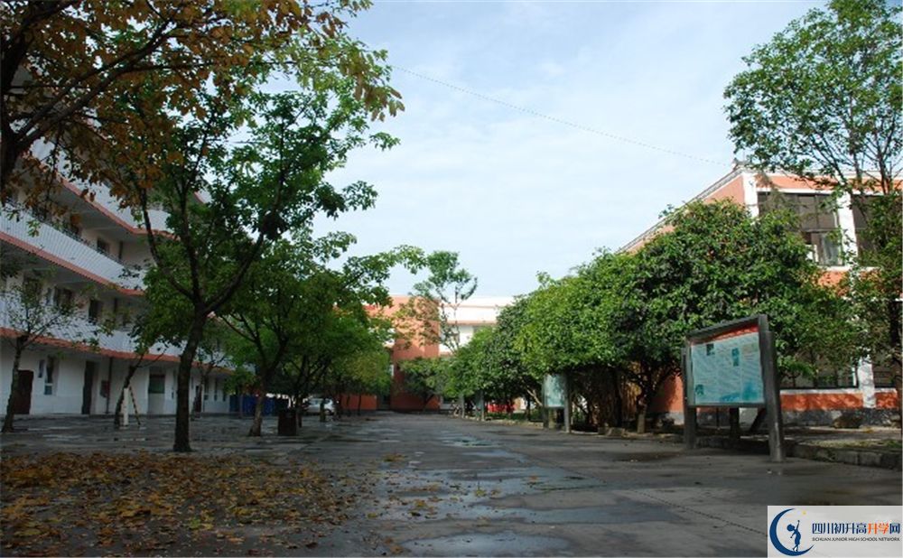 大邑中學(xué)平行班中考重點(diǎn)率是多少？