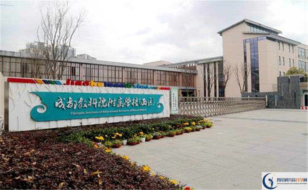 成都教科院附屬學(xué)校2020年高考人數(shù)是多少？