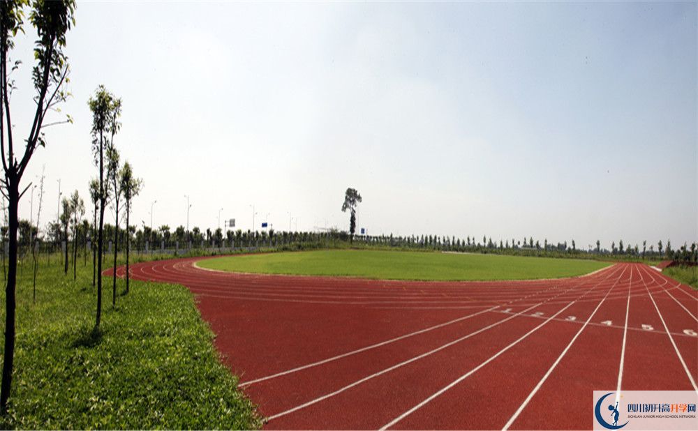 攀枝花市體育中學(xué)2020年中考錄取分?jǐn)?shù)線是多少？