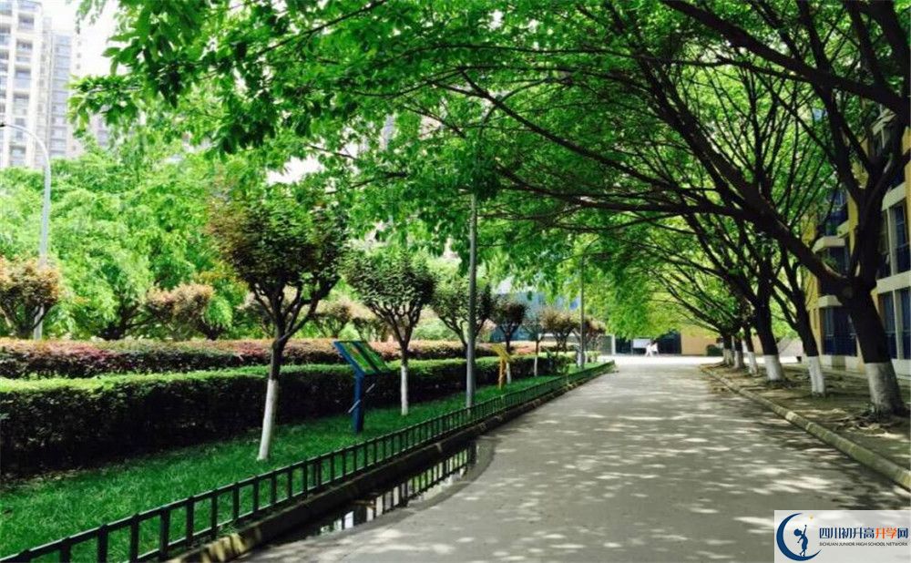 成都七中實(shí)驗(yàn)學(xué)校2020年招生簡章
