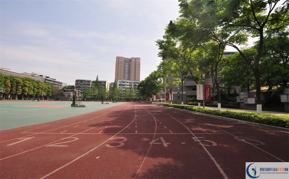 2019樹德中學分數線是多少？