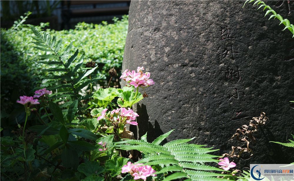 成都經(jīng)濟(jì)技術(shù)開(kāi)發(fā)區(qū)實(shí)驗(yàn)中學(xué)2020年中考收分線(xiàn)是多少？