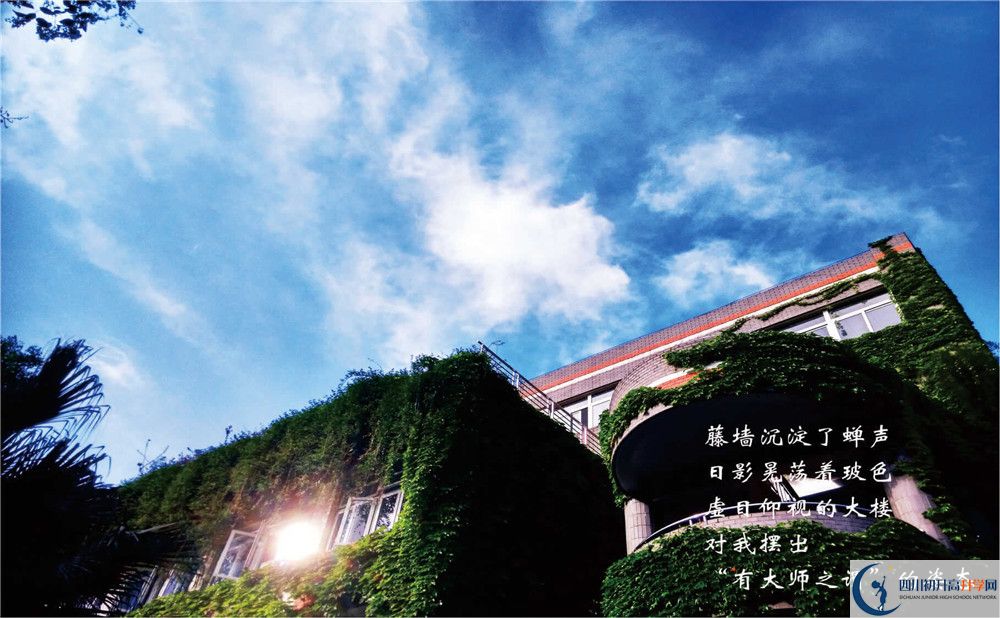 七中高新校區(qū)2020年招生計劃是什么？