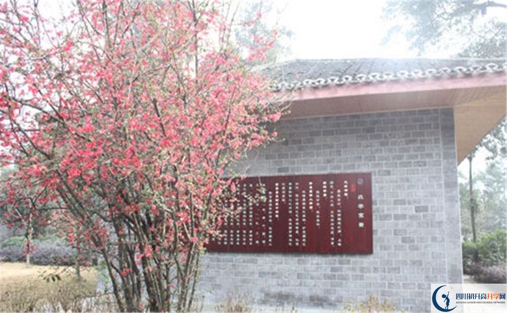 彭州中學2020年怎么樣？