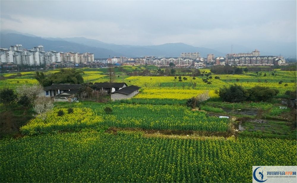 都江堰育才學(xué)校2020年錄取分?jǐn)?shù)線是多少分？