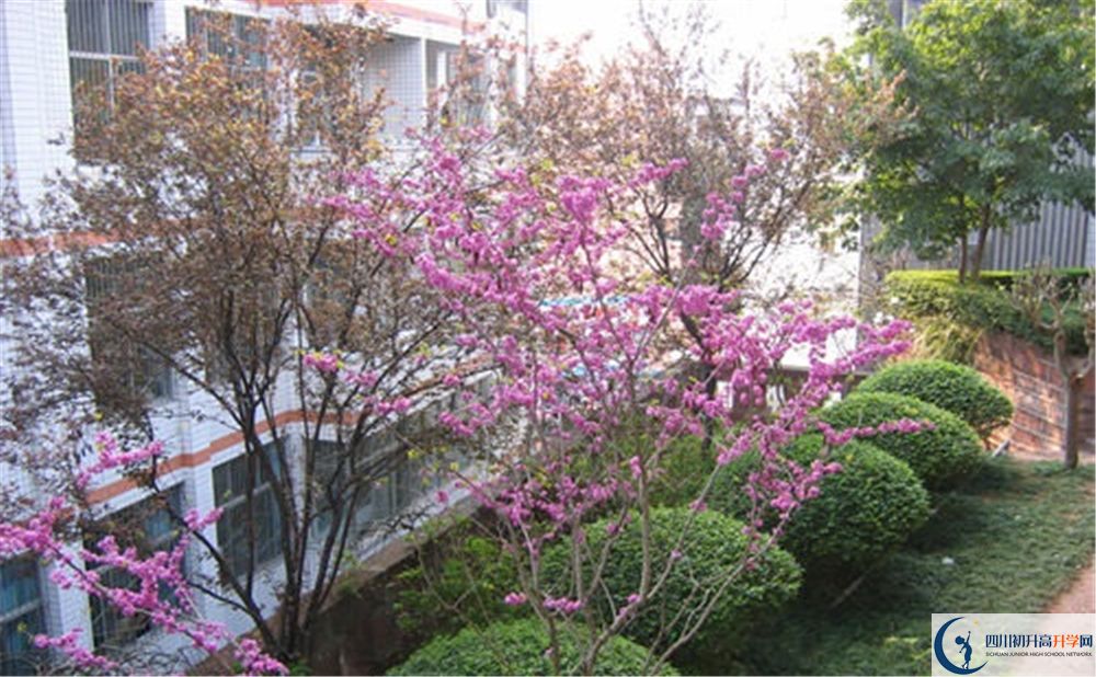 簡(jiǎn)陽三星中學(xué)2020年分?jǐn)?shù)線是多少分？