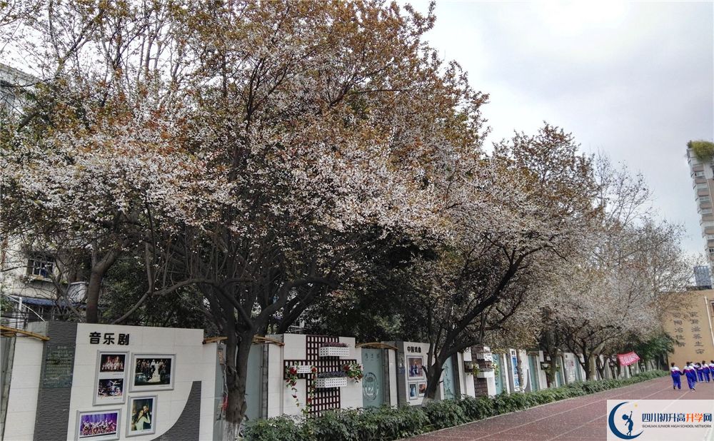 成都大學(xué)附屬中學(xué)2020年高考成績好不好？