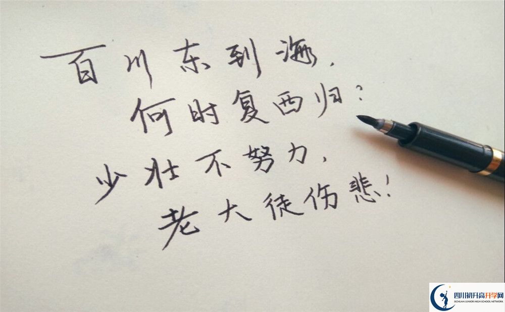 2023年巴中市第五中學(xué)升學(xué)率怎么樣？